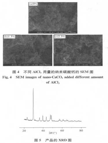 圖片7